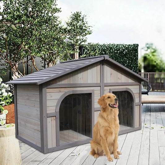 Does my Dog need a Dog House?