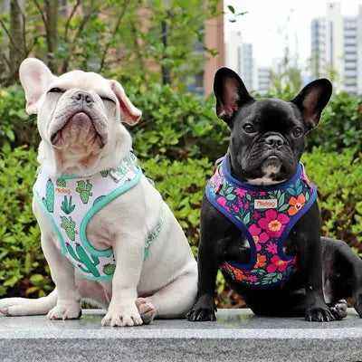 Mesh Nylon Dog Harness Vest Soft Padded Dogs Cat Vests Harnesses Cactus Print For Small Medium Dog Cats French Bulldog Chihuahua