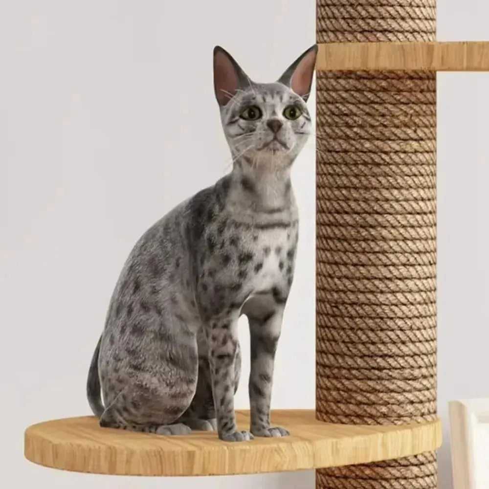 Cat Climbing Frame Floor To Ceiling Pussy Tree Tower Wooden Adjustable Pet Pillar Integrated Cattery With Hammock Kitty Nest