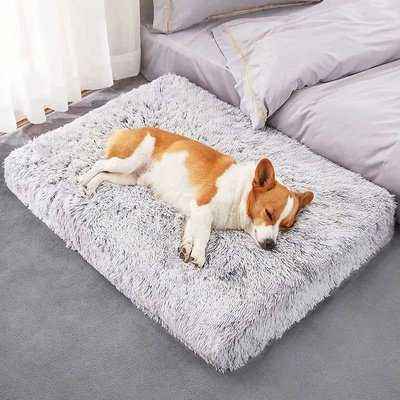Divine Comfort Plush Paradise Pet Bed