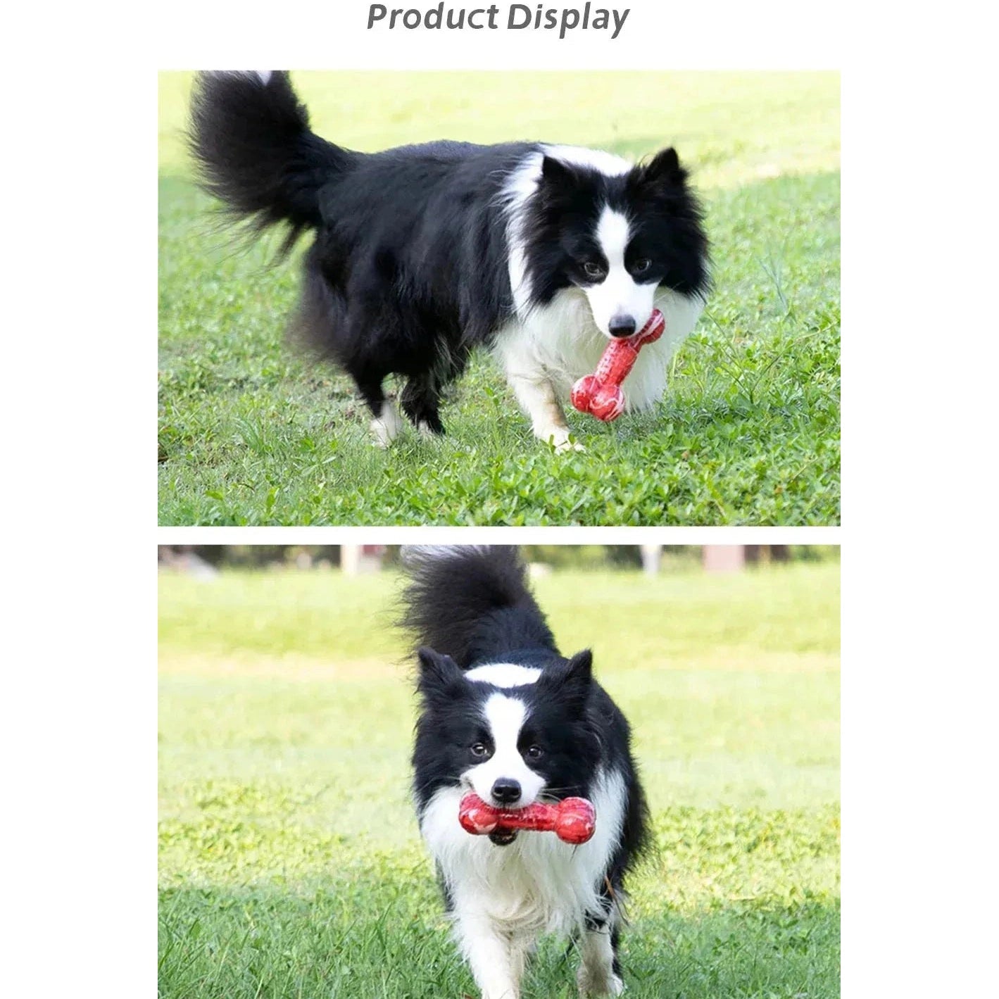 Gigwi Dog Toy G-BLINK Series Bite Resistance Bouncy Pet Chew Toy Small/Medium Dog Molar Bite Resistant Sounding Toy Pet Supplies