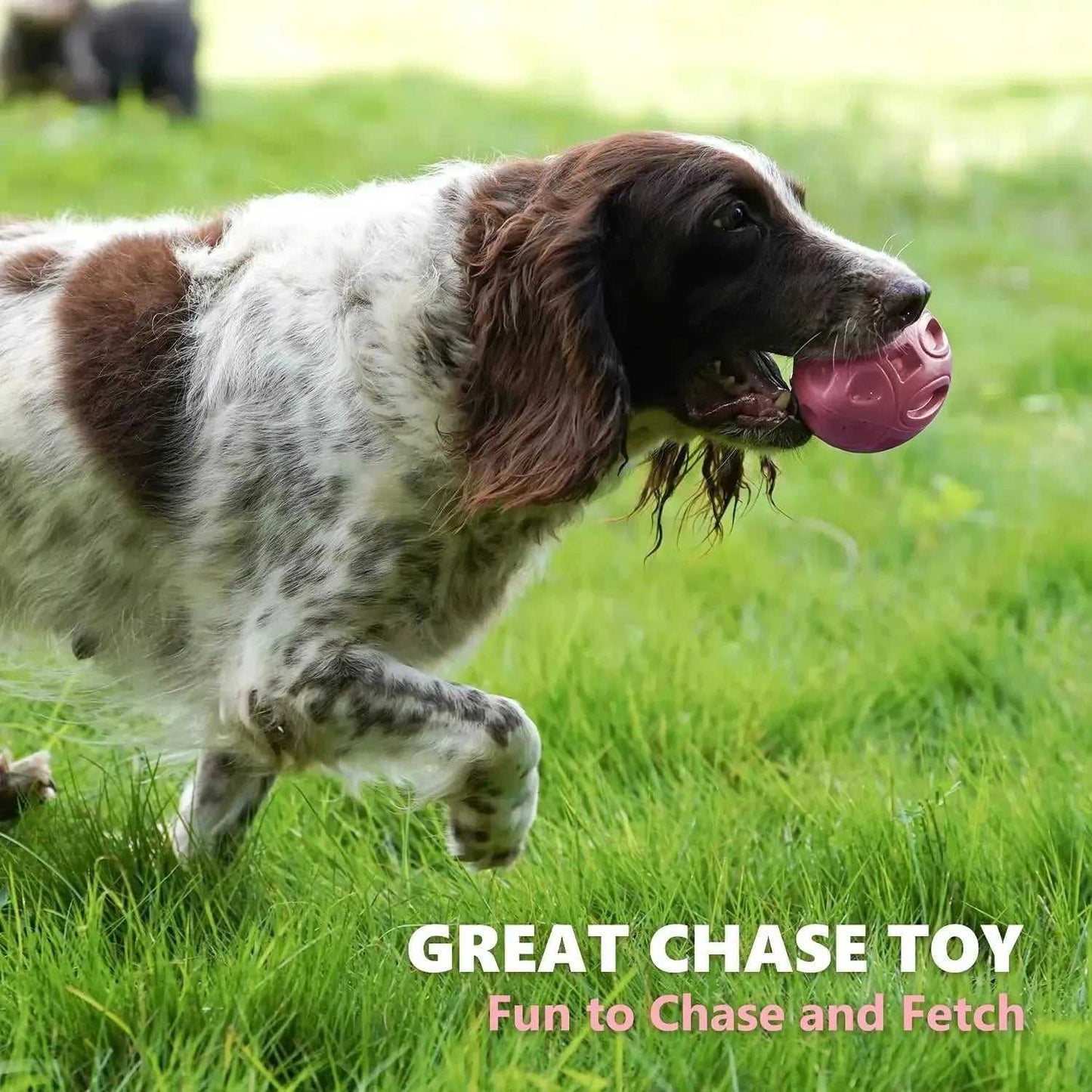 Squeaky Dog Toys for Aggressive Chewers Rubber Puppy Chew Ball Teeth grinding cleaning Durable Pet Toy for Medium Large Breed