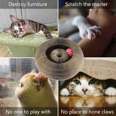 Funny Cat Toy Bed 3 IN 1 Cat Scratcher Cardboard With Ball Toys Collapsible Cat Scratcher Lounge Bed Scratching Pad 3 Types