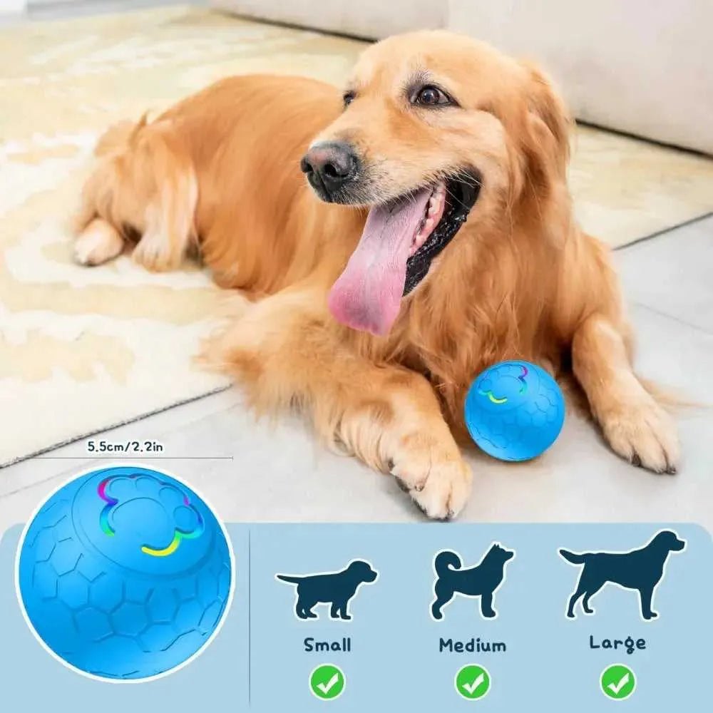 Pet Dog Toy Ball Smart Interactive Rechargeable Automatic Jumping Rolling Moving Ball with 2 Modes Motion Activated Dog Cat Toys