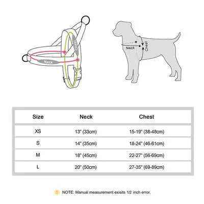 Regal Comfort: Didog Padded Nylon Dog Harness for Stylish Pets