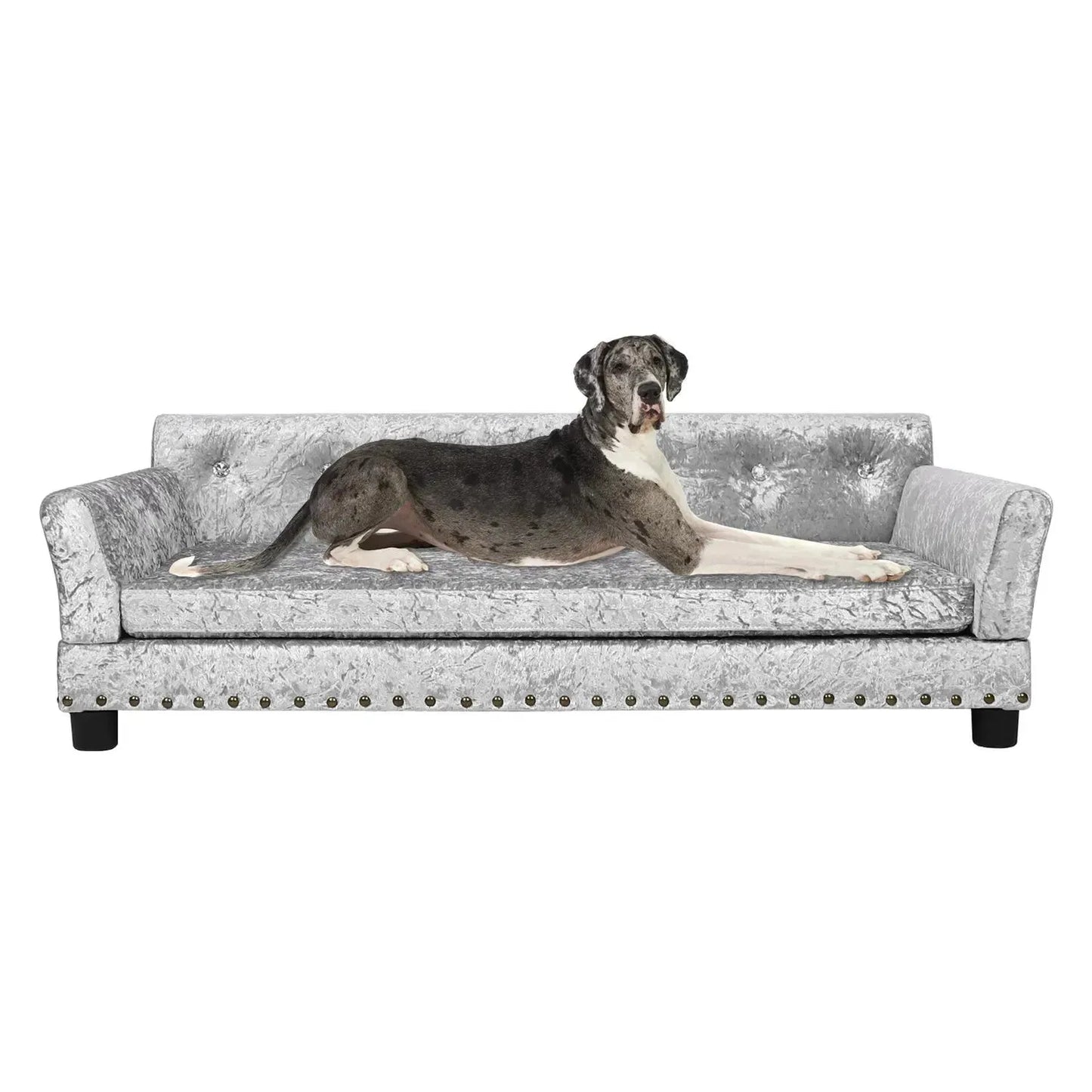 BingoPaw Large Dog Sofa Bed Deluxe Tufted Elevated Jumbo Dog Couch Bed Made Velvet - Pet Giant Snuggle Sofa Lounger Memory Foam