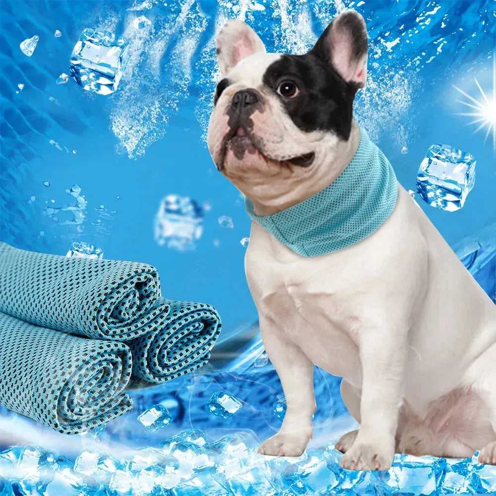 Cooling Dog Collar Instant Ice Pet Bandana Scarf Super Cool Collars for Hot Summer Small Dogs Collars Chihuahua French Bulldog