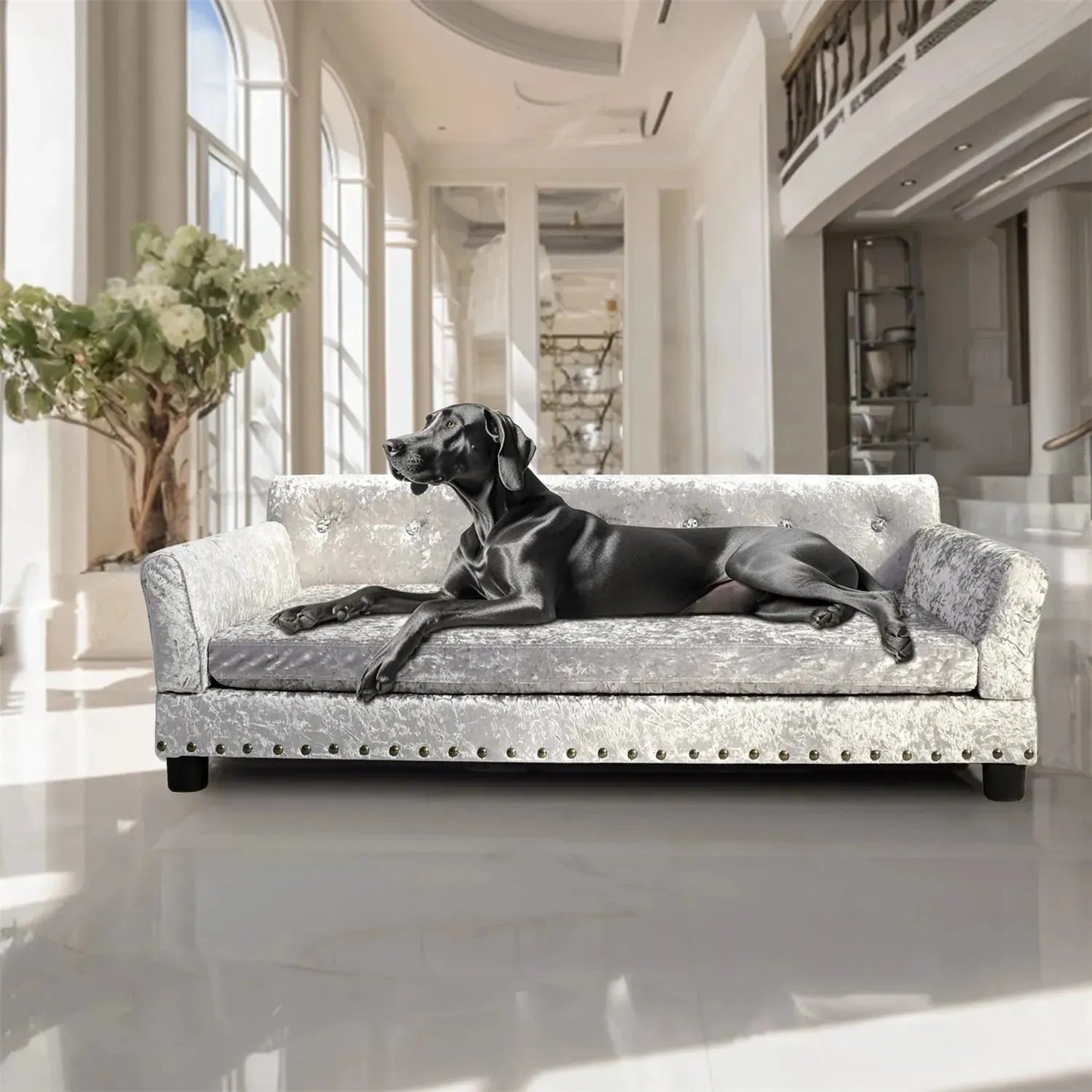 BingoPaw Large Dog Sofa Bed Deluxe Tufted Elevated Jumbo Dog Couch Bed Made Velvet - Pet Giant Snuggle Sofa Lounger Memory Foam