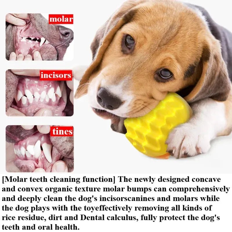 Pet Toy Ball Chewing, Teeth Grinding, Teeth Cleaning, Bite-Resistant Cat Toy, Chewing And Sounding Elastic Dog Toy Ball