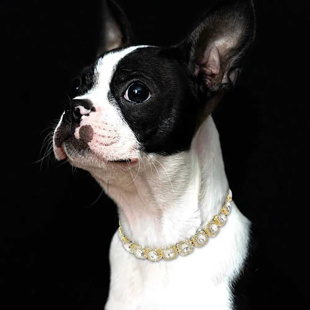 Bling Diamond Dog Chain Collar Crystal Rhinestone Pet Necklace Collar Luxury Shining Collars for Small Medium Dogs Cat Chihuahua