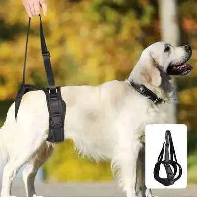 Didog Dog Split Lift Harness: Luxe Support & Rehab for Dogs