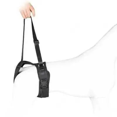 Didog Dog Split Lift Harness: Luxe Support & Rehab for Dogs