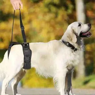 Didog Dog Split Lift Harness: Luxe Support & Rehab for Dogs