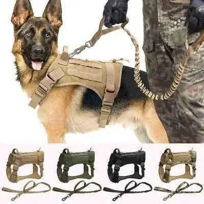 Divine Paws Luxury Dog Harness & Leash Set