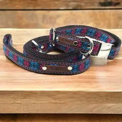 Finnigan's Designer Dog Collar Set: Stylish Comfort for Your Pup! 🐾