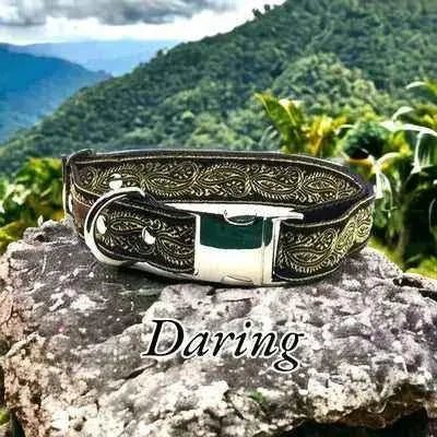 Wholesale Durable Designer Dog Collar No.12l