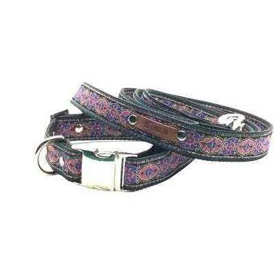 Finnigan's Fabulous Designer Dog Collar Set