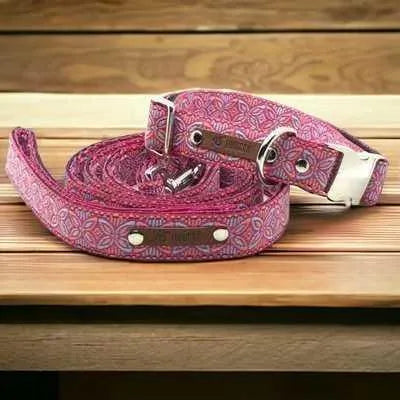 Finnigan's Regal Designer Dog Collar Set: Fit for Big Dogs! 🐶