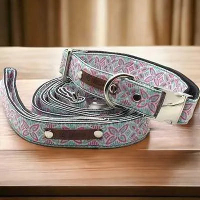 Finnigan's Designer Dog Collar Set: Style & Comfort for Large Breeds! 🐾