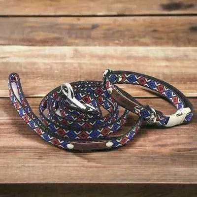 Finnigan's Whimsical Pooch Collar Set: Tail-Wagging Style & Durability! 🐾