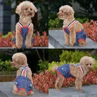 Opulent Elegance Lace-Trimmed Dog Diaper by Posh Paw Wear