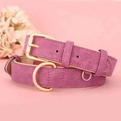 Didog Royal Leather Dog Collar