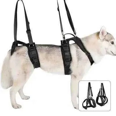 Regal Comfort: Didog Dog Lift Harness & Leash in Black