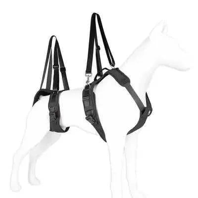 Regal Comfort: Didog Dog Lift Harness & Leash in Black