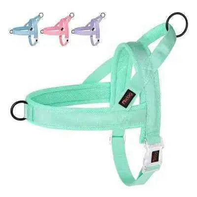 Regal Comfort: Didog Padded Nylon Dog Harness for Stylish Pets