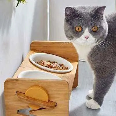 Regal Feasts Cat Dining Ensemble