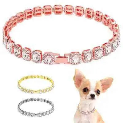 Radiant Paws Rhinestone Puppy Collar