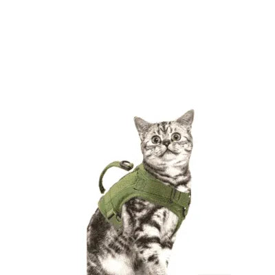 Pamper Your Feline Friend in Style with this Tactical Nylon Cat Harness!