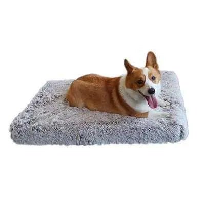 Divine Comfort Plush Paradise Pet Bed