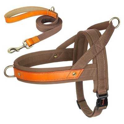 Royal Canine Charm Nylon Dog Collar Harness Leash Set