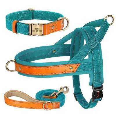 Royal Canine Charm Nylon Dog Collar Harness Leash Set