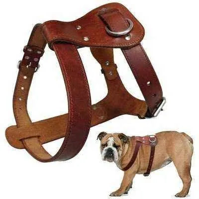 Luxury Brown Leather Dog Harness: Real Elegance for Canine Companions