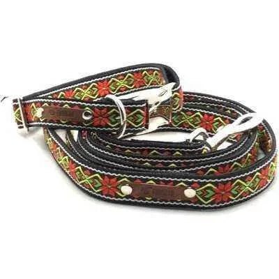 Finnigan's Fabulous Fabric Dog Collar Set