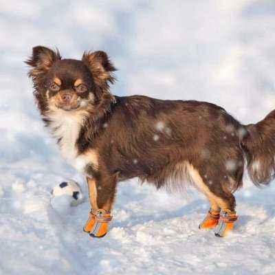 Chic Canine Couture Reflective Winter Dog Boots