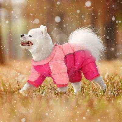 Rose Gold Elegance Reflective Winter Dog Coat