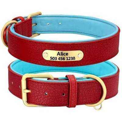 Custom Engraved Leather Padded Dogs Collars With Personalized ID Plate - Finnigan's Play Pen
