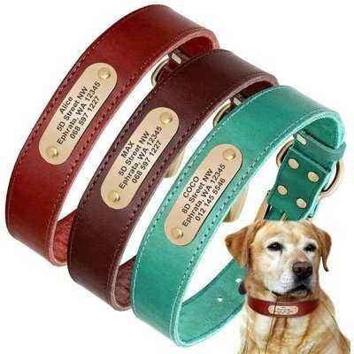 Real Leather Personalized Collars For Dogs With Custom Engraved Tag - Finnigan's Play Pen