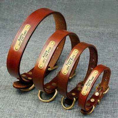 Luxury Personalised Leather Dog Collar with Free Engraving