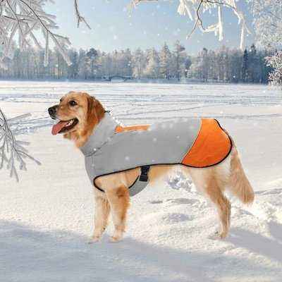 Royal Canine Elegance Reflective Dog Vest