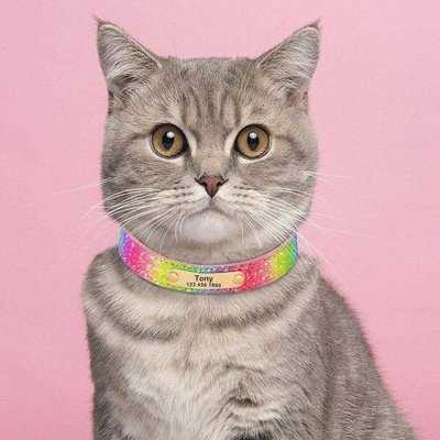 Luxury Sequin Sparkle Personalised Pet ID Collar