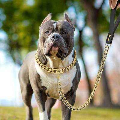 Stainless Steel Dog Chain Collar And Leash Super Strong Dog Metal Collar Choke Silver Gold - Finnigan's Play Pen