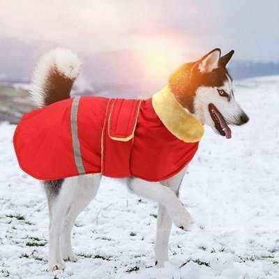 Regal Red Waterproof Fur Coat for Elegant Labrador