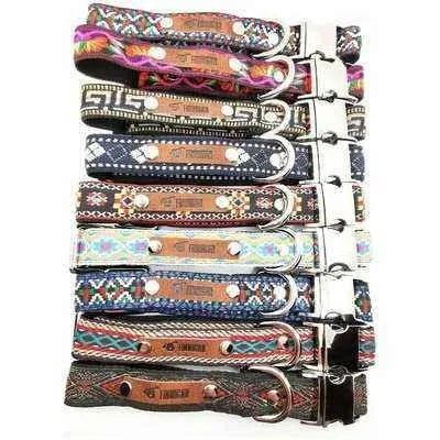 Finnigan Designer Dog Collar - Distinctive Collection Medium