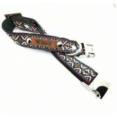 Finnigan Designer Dog Collar - Distinctive Collection Medium