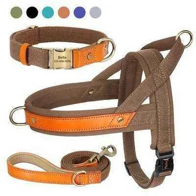 Royal Canine Charm Nylon Dog Collar Harness Leash Set