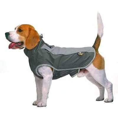 Regal Paws Waterproof Dog Jacket for Winter Walks